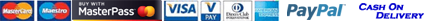 payment